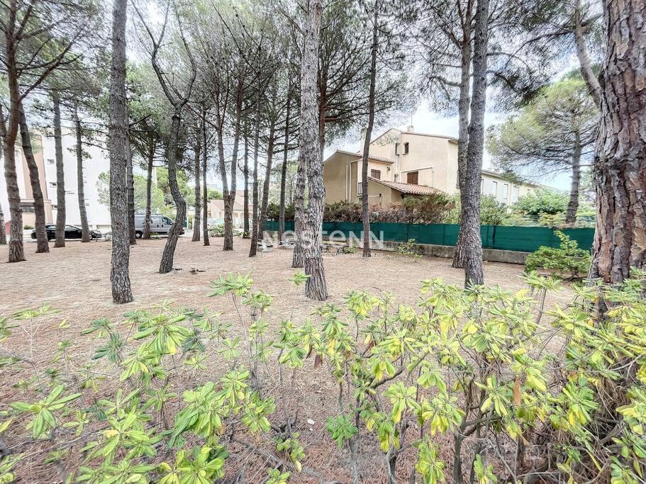 2980-Appartement 1 Ch A 100M De La Mer Argelès-sur-Mer Buitenkant foto